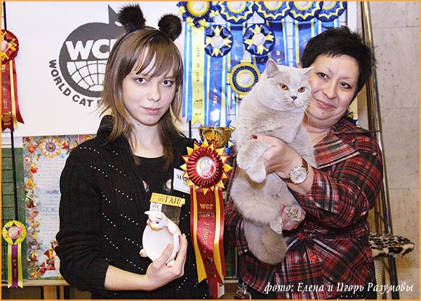 Кошечка Оленька на выставке