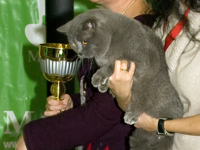 Лелик и его кубок